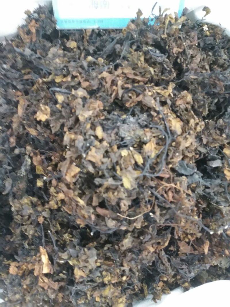 海藻山东1公斤起批无硫无添加不包邮只做正品