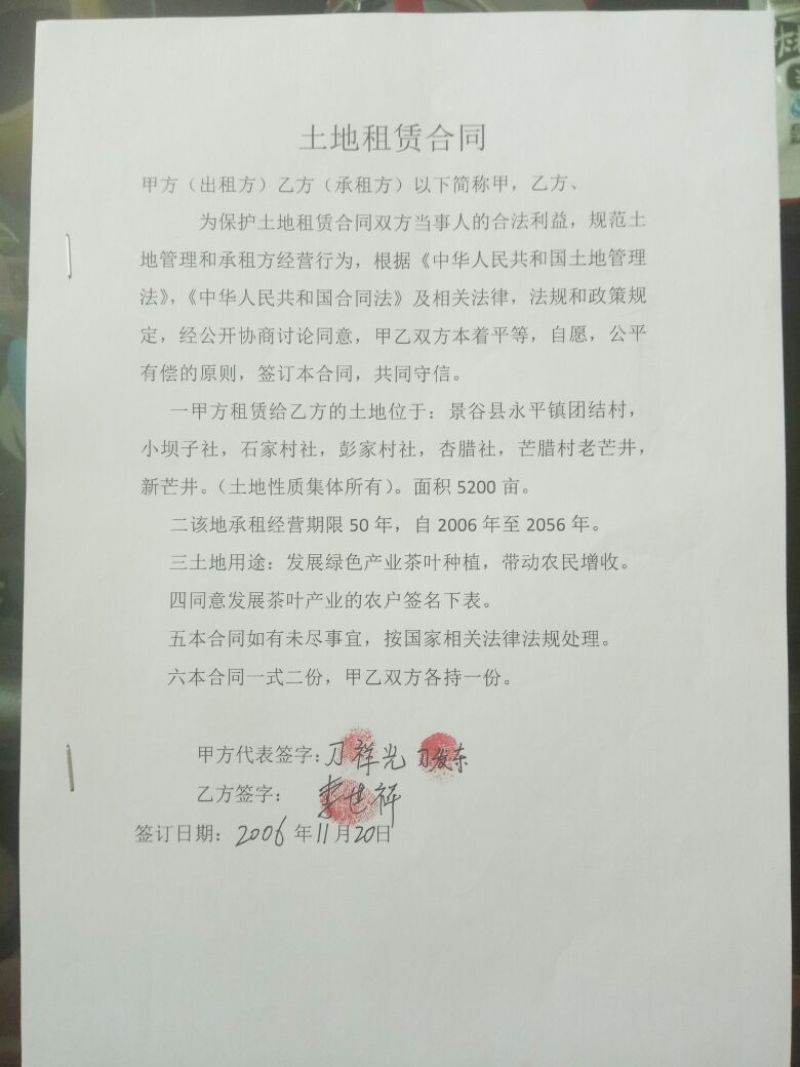普洱茶一级