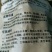 白桦茸
