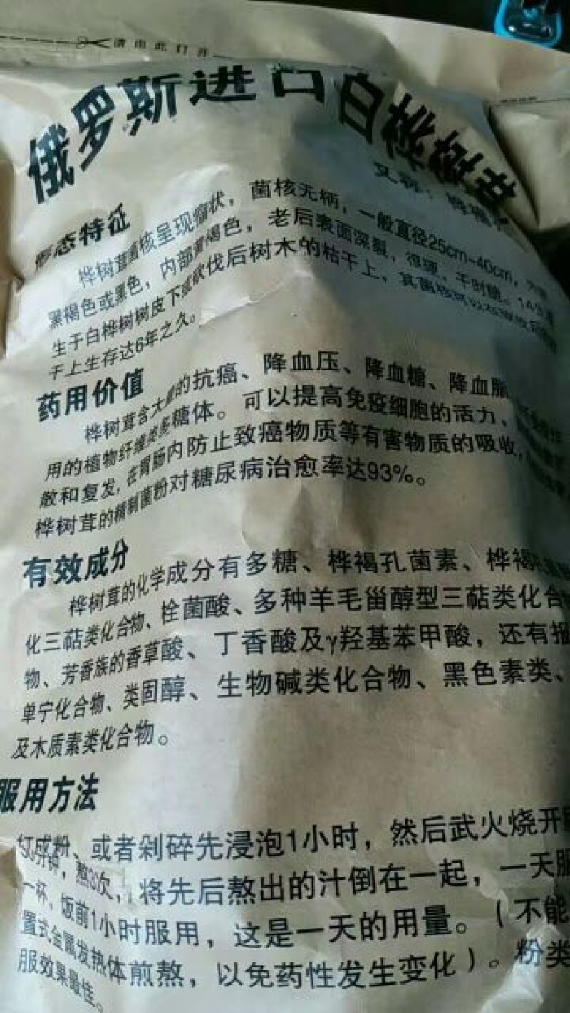 白桦茸