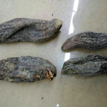 肉苁蓉新疆1公斤起批无硫无添加不包邮正品