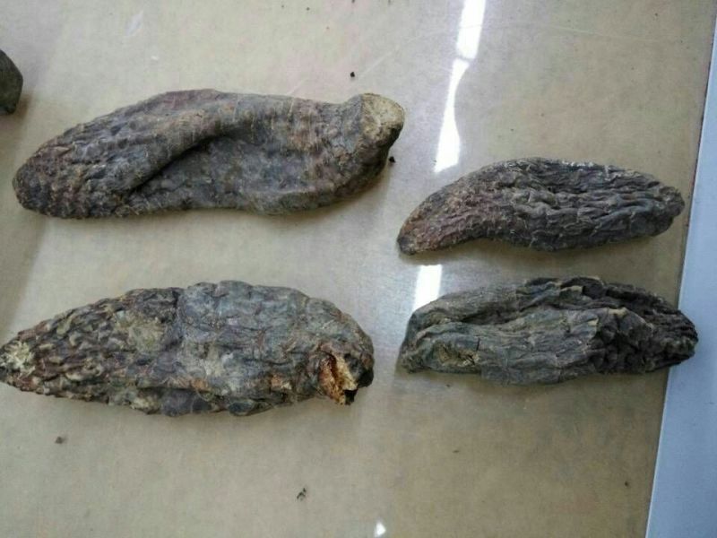 肉苁蓉新疆1公斤起批无硫无添加不包邮正品