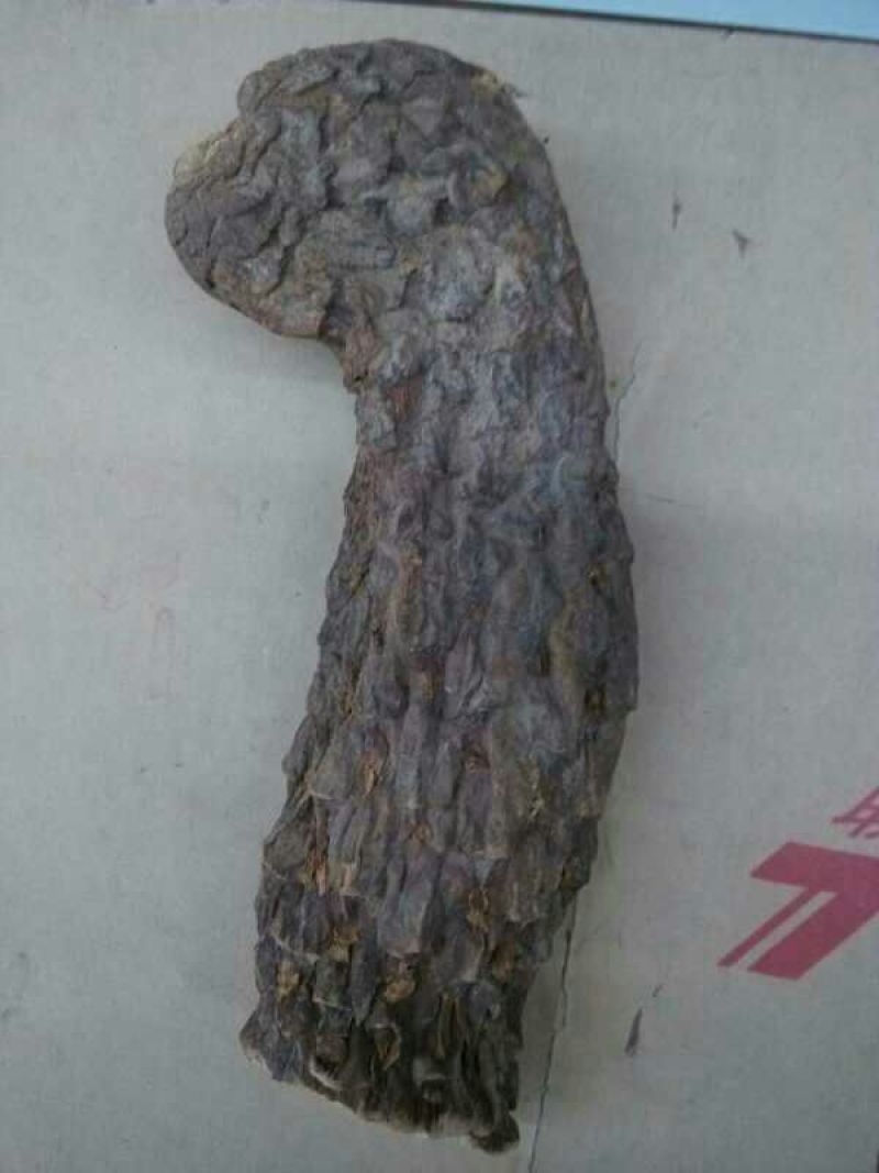 肉苁蓉新疆1公斤起批无硫无添加不包邮正品