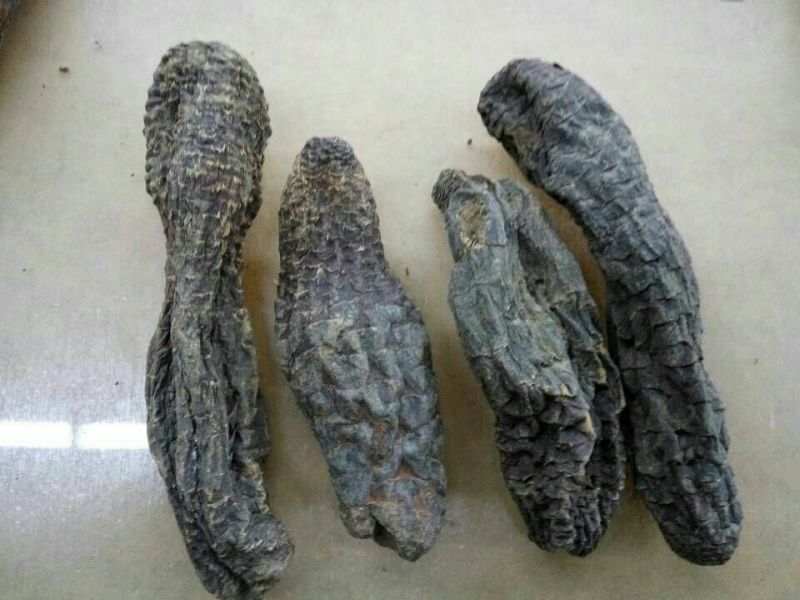 肉苁蓉新疆1公斤起批无硫无添加不包邮正品