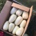 甜宝甜瓜精品0.5斤以上