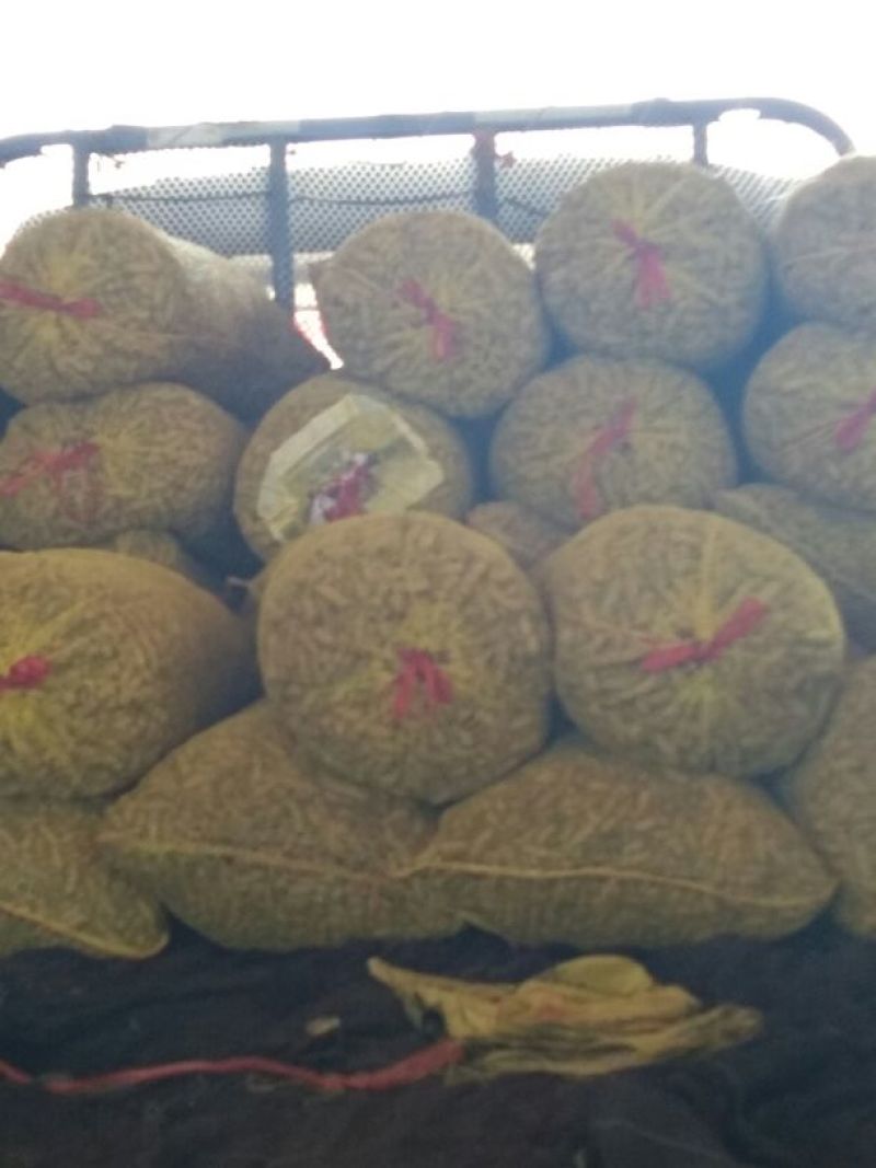 四粒红鲜花生，货源充足精选优质花生批发零售