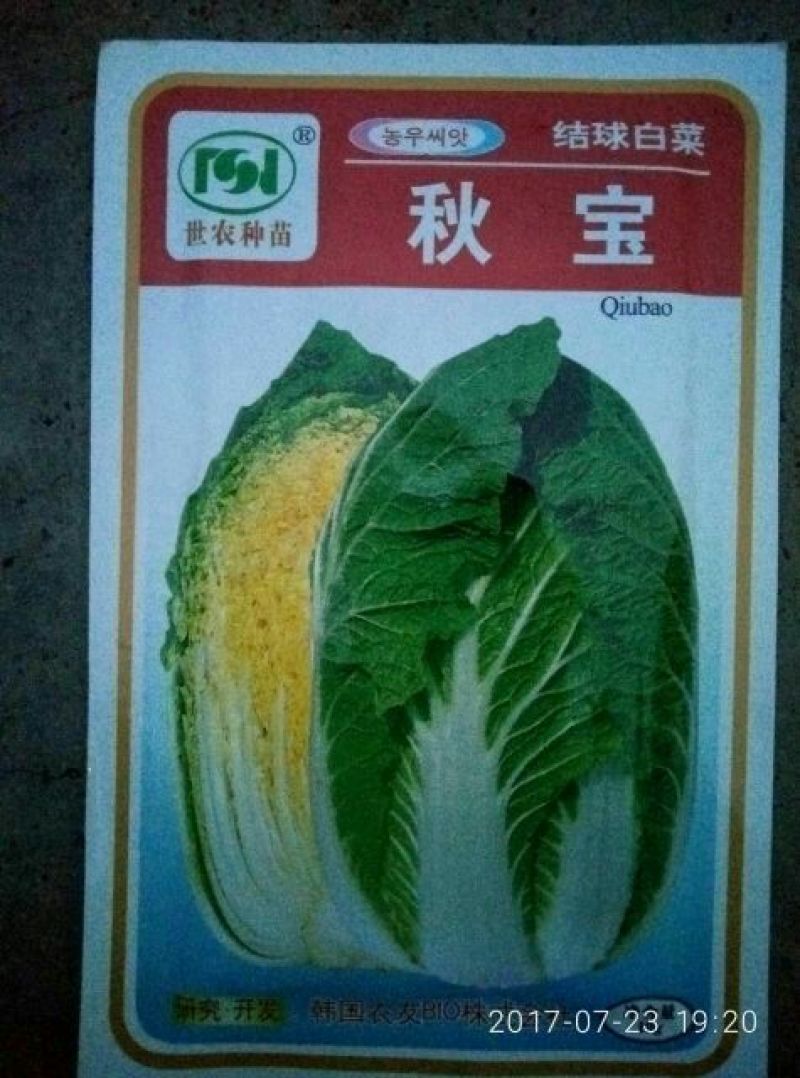 黄心白菜，抗病，口感甜，适合大面积种植！生长期55，