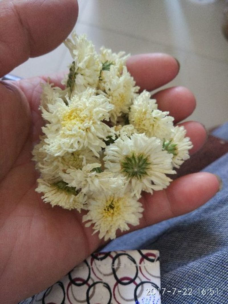 菊花茶一级