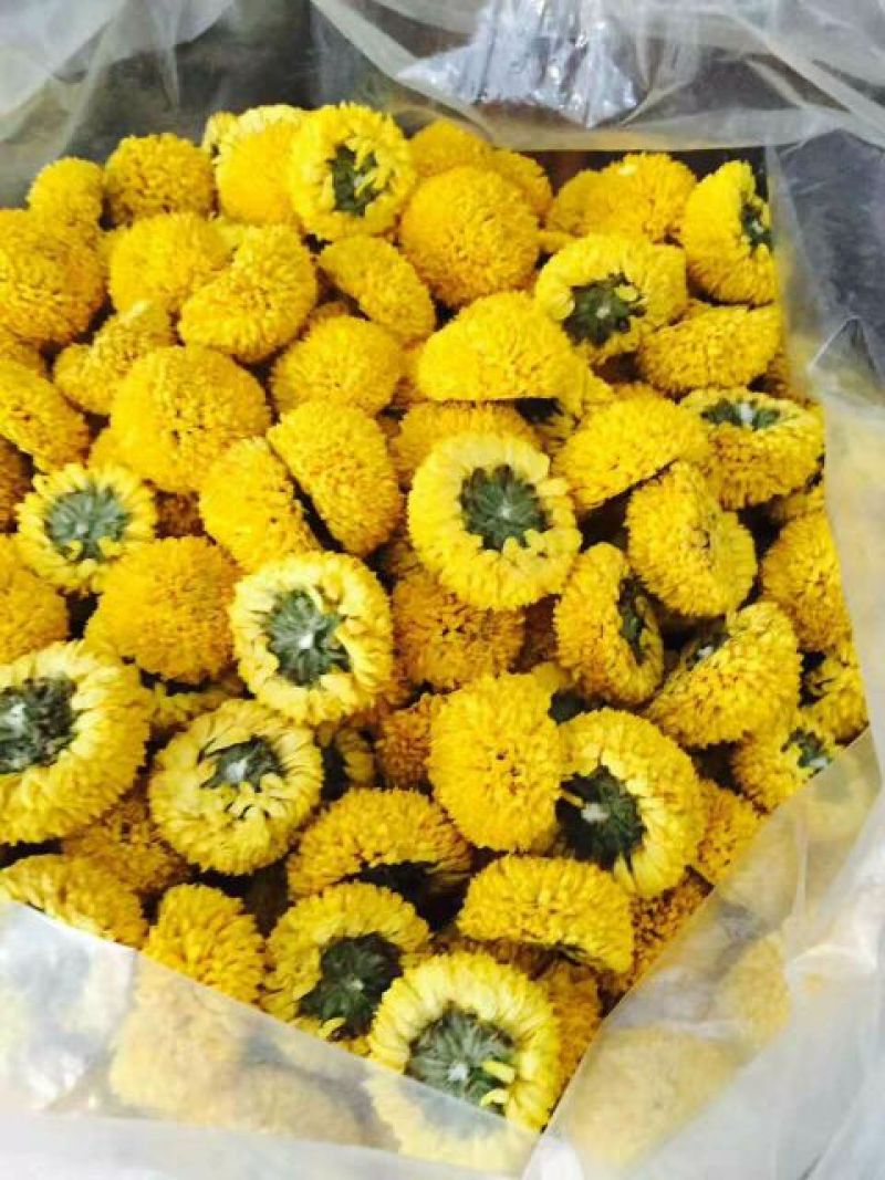菊花茶一级