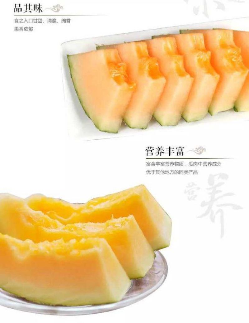 西州蜜瓜5斤以上长圆形
