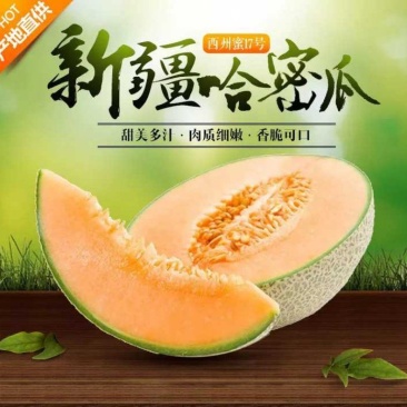 西州蜜瓜5斤以上长圆形