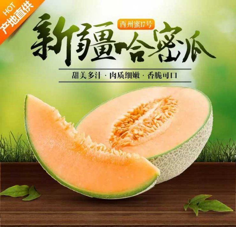 西州蜜瓜5斤以上长圆形
