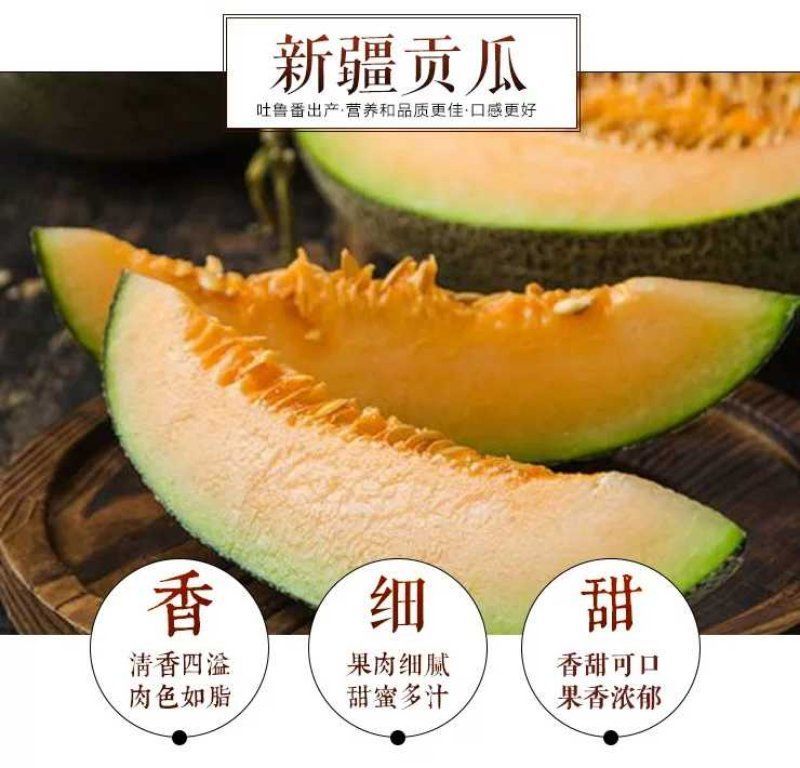 西州蜜瓜5斤以上长圆形