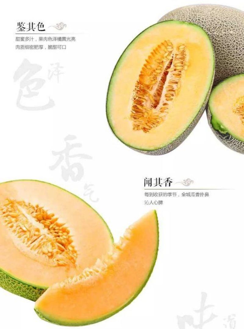 西州蜜瓜5斤以上长圆形