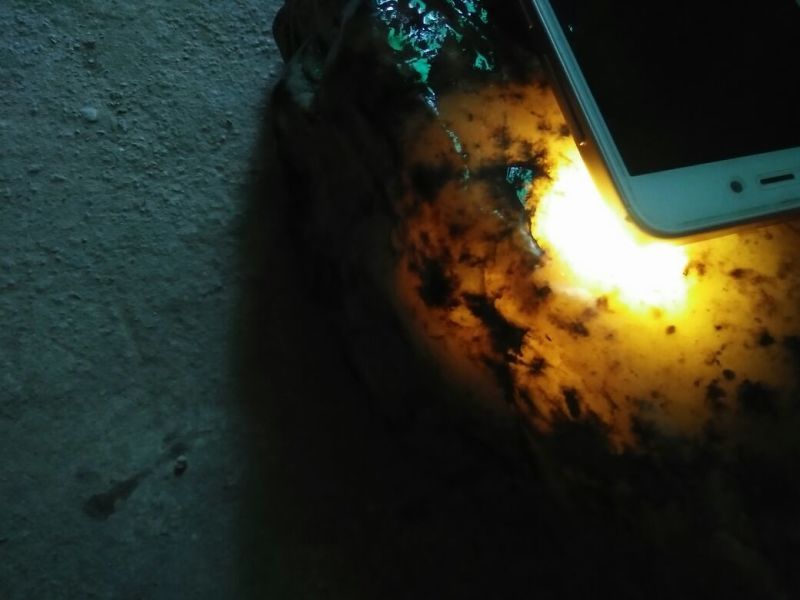 毛石