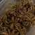 虫草**供应24小时在线服务价格美丽产地直发品质保证