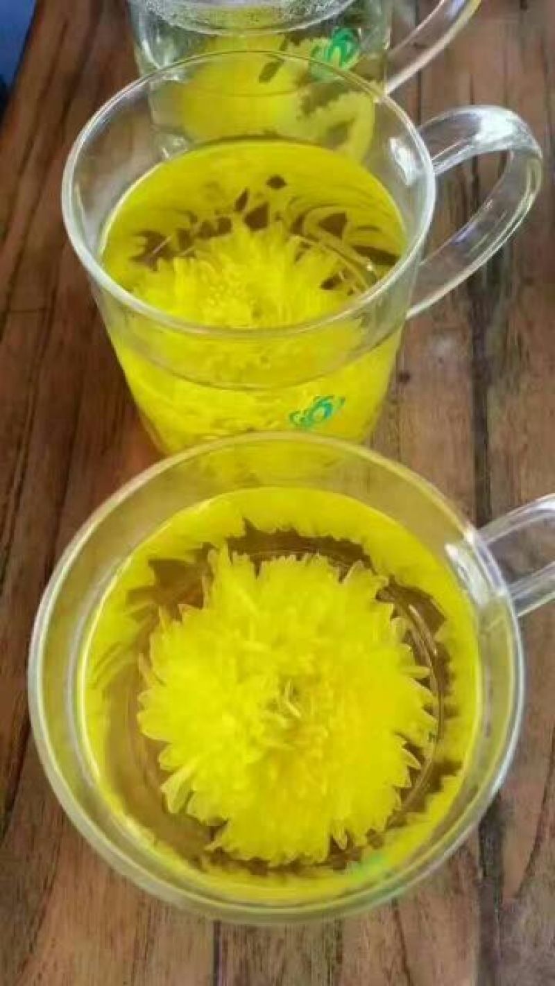 药用菊花散装