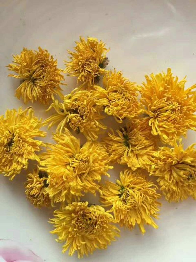 药用菊花散装