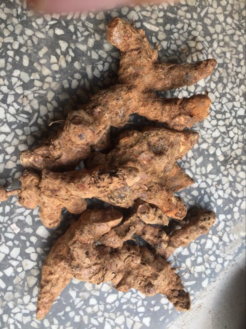 土茯苓统个新鲜鲜货白肉野生量大从优物美价廉