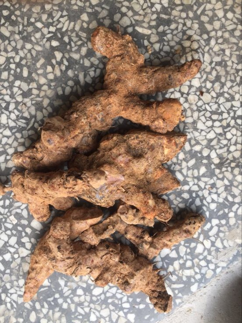 土茯苓统个新鲜鲜货白肉野生量大从优物美价廉