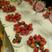 圣诞红草莓苗10~20cm