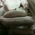 三元仔猪三元仔猪包送货到家货到付款