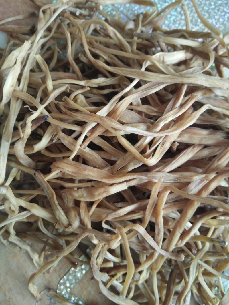 干黄菜