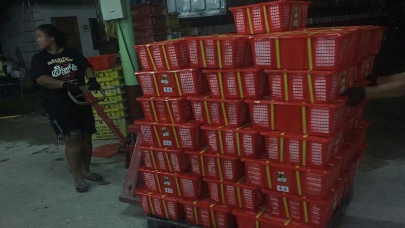 龙眼5毫米以上精品