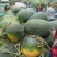 西瓜黑金刚西瓜10斤打底9成熟1茬