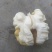 青皮核桃青皮40mm以上湿