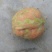 青皮核桃青皮40mm以上湿