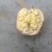 青皮核桃青皮40mm以上湿
