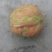青皮核桃青皮40mm以上湿