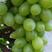 维多利亚葡萄0.8~1.5斤5%以下