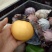 皇冠梨250~300g光果