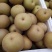 皇冠梨250~300g光果