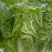 大白菜净菜4~6斤