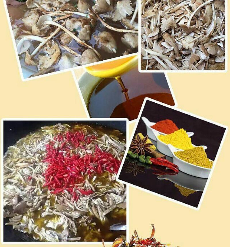 鸡枞菌特级