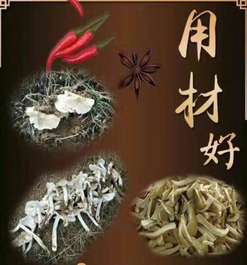 鸡枞菌特级