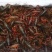 小龙虾食用活虾小龙虾主养