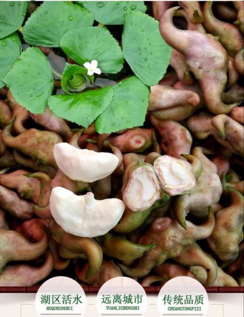 菱角米散装