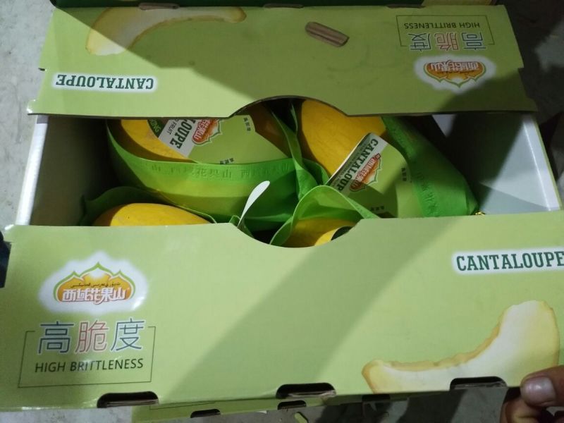 黄蛋哈密瓜2斤以上椭圆形
