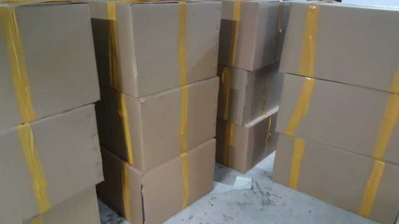 【军鱼苗】青竹鲩鱼苗，坑娟，光倒刺耙鱼苗，竹八鱼