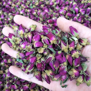 药用玫瑰花甘肃苦水无硫玫瑰花茶