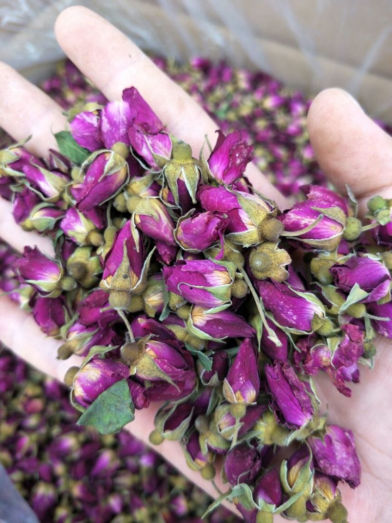 药用玫瑰花甘肃苦水无硫玫瑰花茶