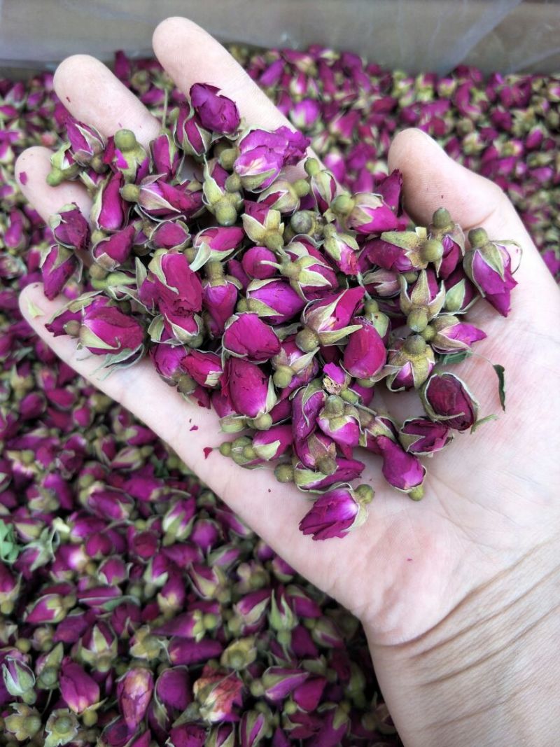 药用玫瑰花甘肃苦水无硫玫瑰花茶