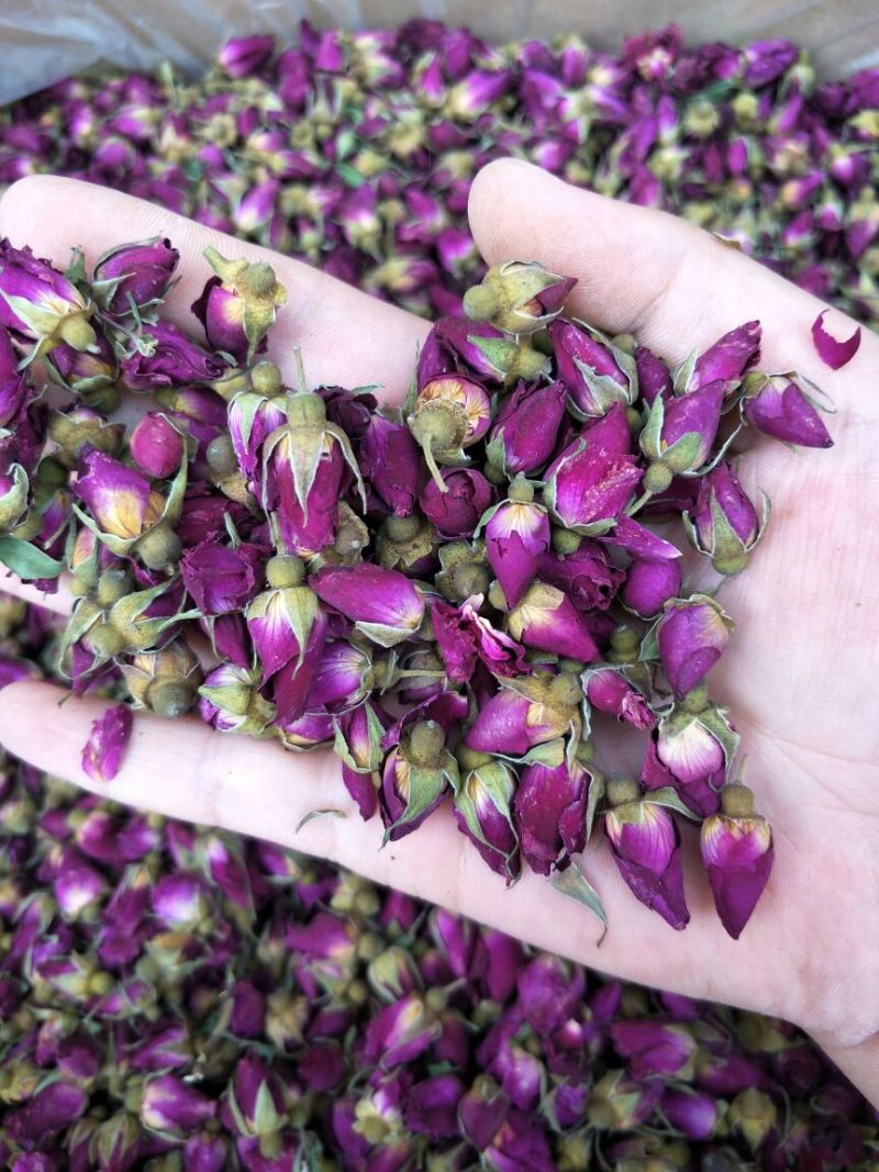 药用玫瑰花甘肃苦水无硫玫瑰花茶