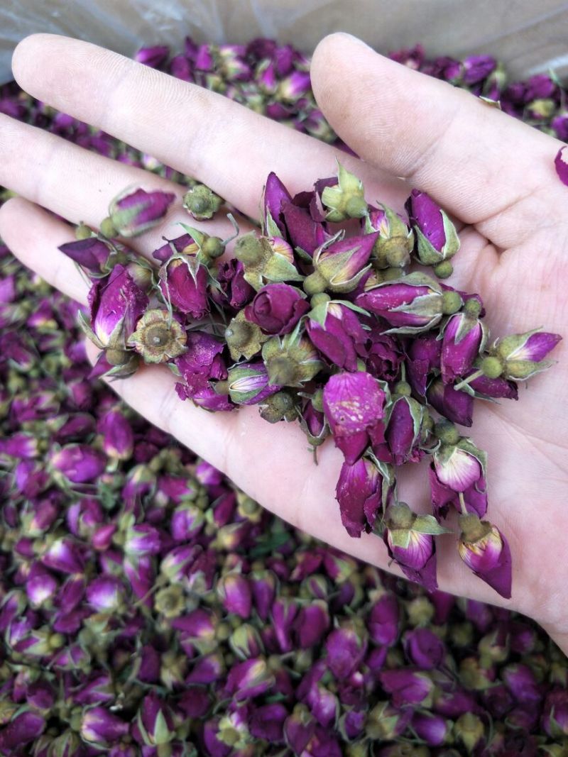 药用玫瑰花甘肃苦水无硫玫瑰花茶
