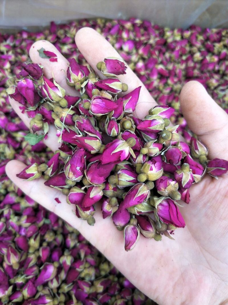 药用玫瑰花甘肃苦水无硫玫瑰花茶