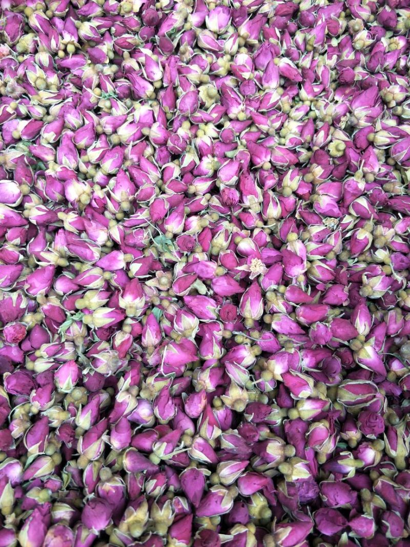 药用玫瑰花甘肃苦水无硫玫瑰花茶